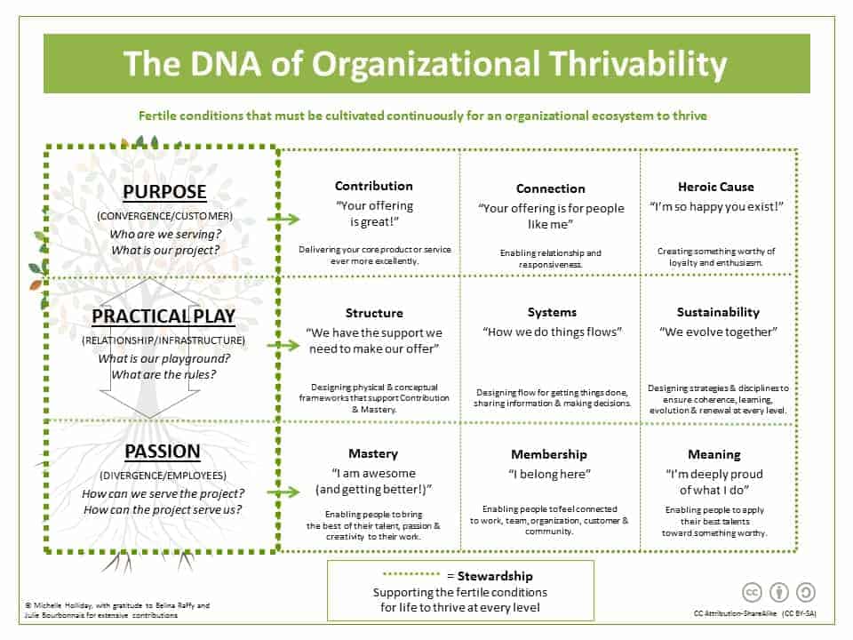 The DNA Of Organizational Thrivability