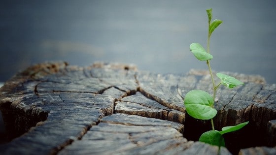 Future Proof Leadership