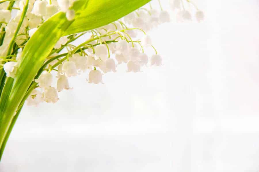 Meet Our Experts Here for The Future Proof Leadership Retreat