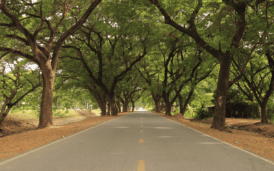 A Guide To ICF Mentor Coaching for Achieving Your ICF Certification