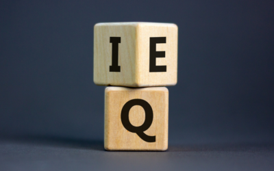 Emotional Intelligence and Executive Coaching: Bringing Out the Best in Leaders